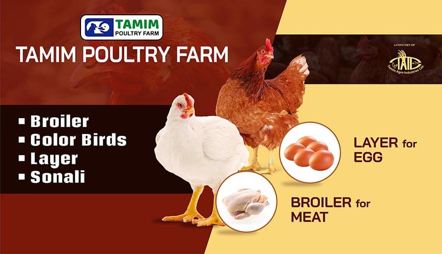 6. Tamim Agro - Tamim Poultry Farm
