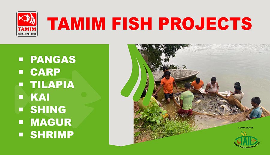 Tamim Fish Projects-1